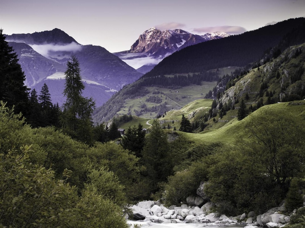 Nangijala Hostel Main image